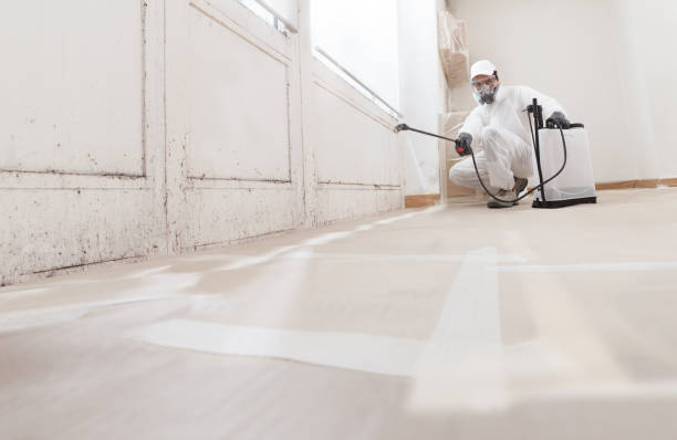 24/7 Emergency Mold Remediation experts in Madison, GA